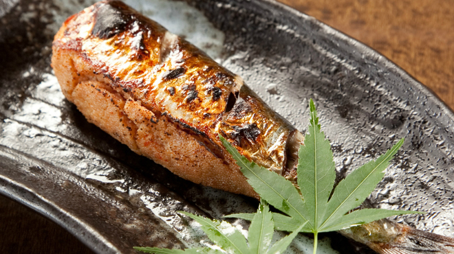 アジト - メイン写真: