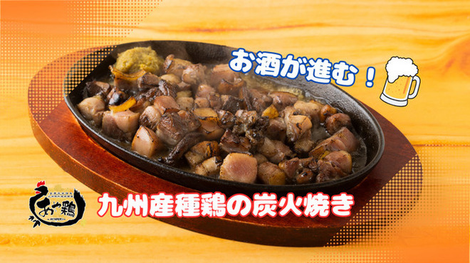 全席個室 居酒屋 あや鶏 - メイン写真: