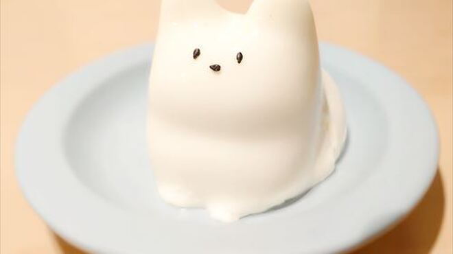 もつ鍋・サムギョプサル専門店 もっさむ - メイン写真: