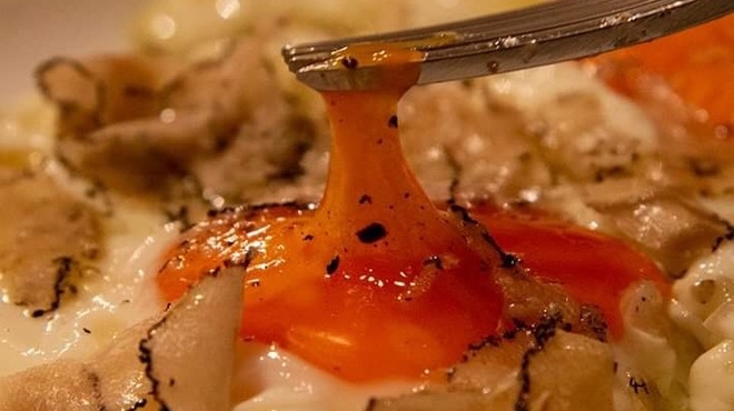 巣鷹cucinaSUDAKA - メイン写真: