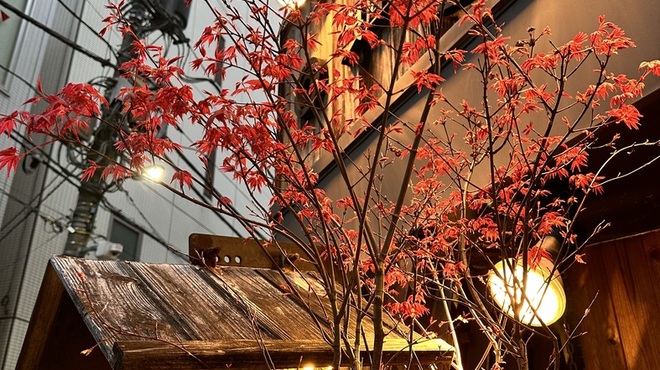 銀座じゃのめ - メイン写真: