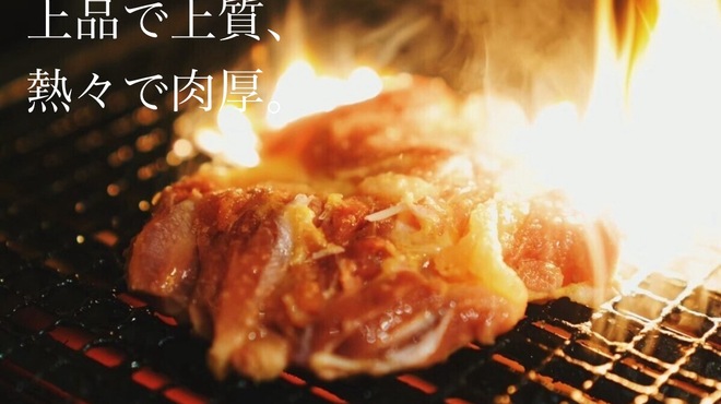 東京鶏焼肉とおでん はーばーど - メイン写真: