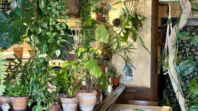 海月亭 - メイン写真: