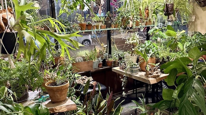 海月亭 - メイン写真: