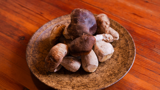 Ｖivoイタリア食堂 - メイン写真: