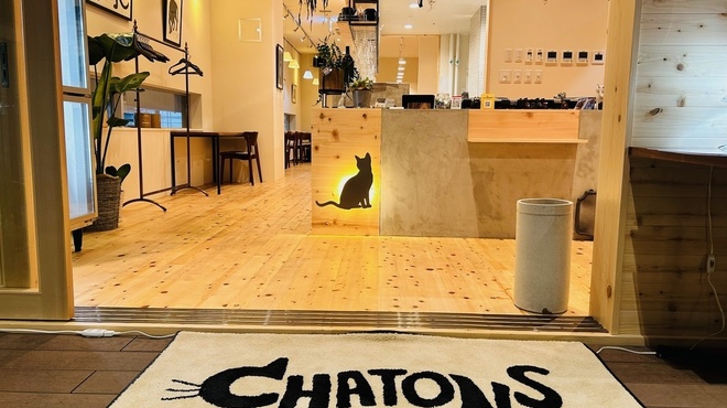 CHATONS - メイン写真: