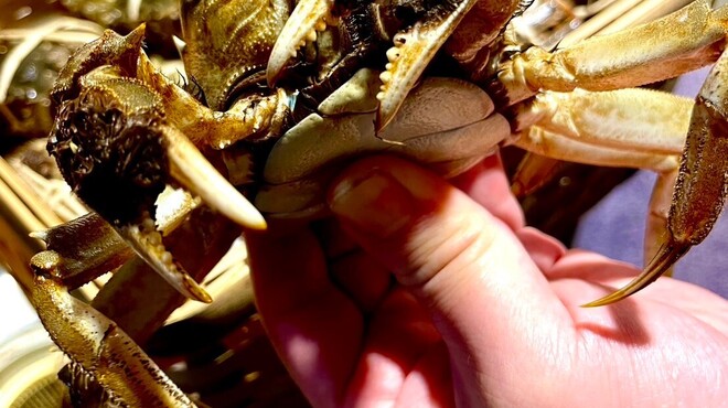 ＮＩＨＩＲＯ - メイン写真: