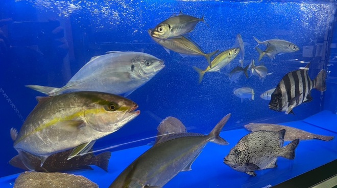 贅食家 千壽 - メイン写真: