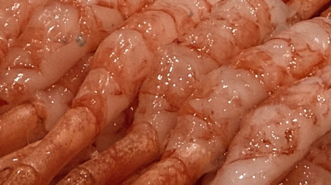 築地 孫右衛門 - 料理写真:甘みたっぷりな甘えび