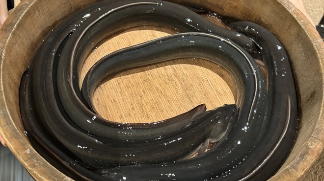 銀座 四代目 高橋屋 - 料理写真: