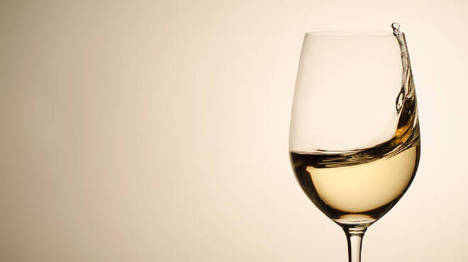 鉄板鶏舎tori to tamago - メイン写真: