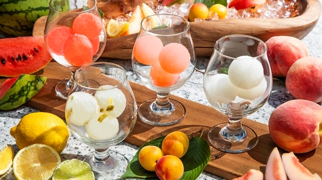 THE PUBLIC SIX - メイン写真: