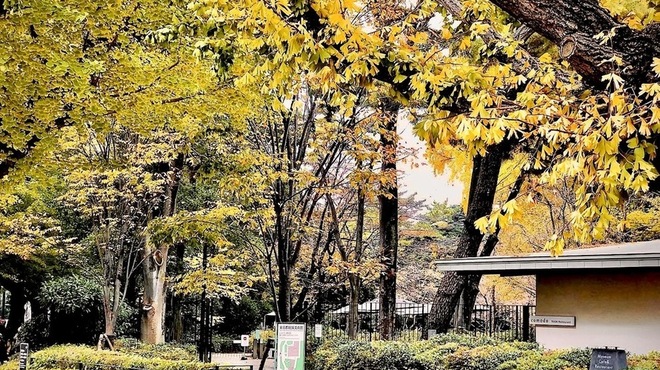 TEIEN Restaurant comodo - メイン写真:
