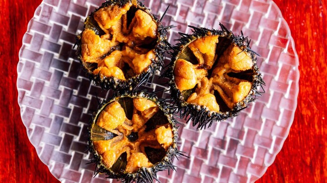 ALMA - メイン写真: