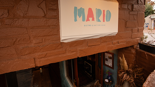 MARIO - メイン写真: