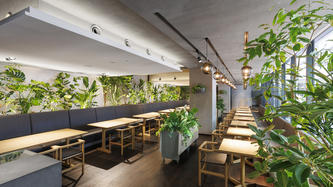 ヒソップ - メイン写真: