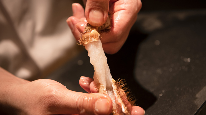 池田紘三 - メイン写真: