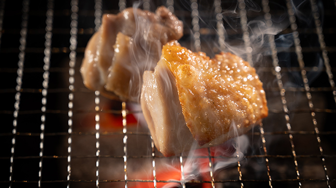 博多炉端しらべ - メイン写真:鶏