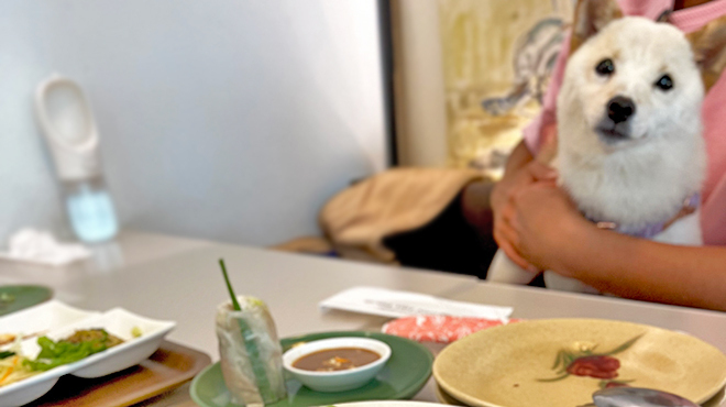 ニャーヴェトナム - メイン写真: