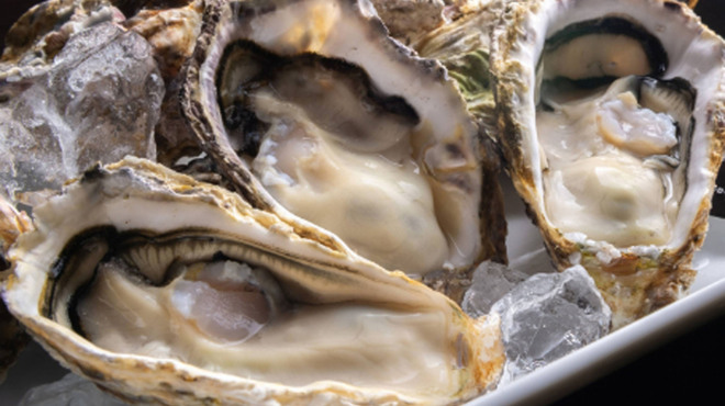 キューブバー - メイン写真: