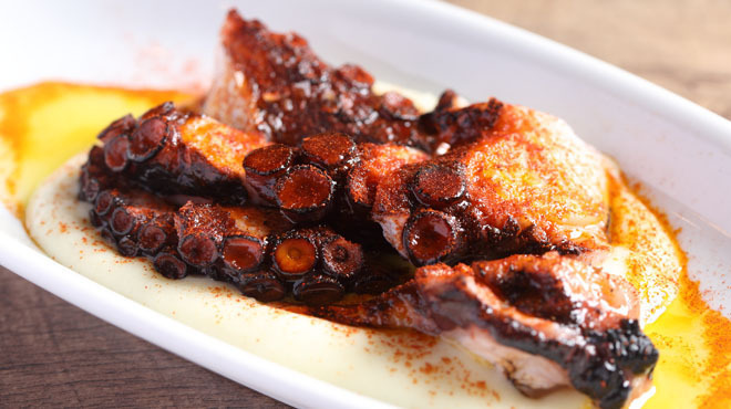 薪バルPERCA - メイン写真:タコのガリシア風