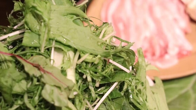 WE ARE THE FARM - メイン写真: