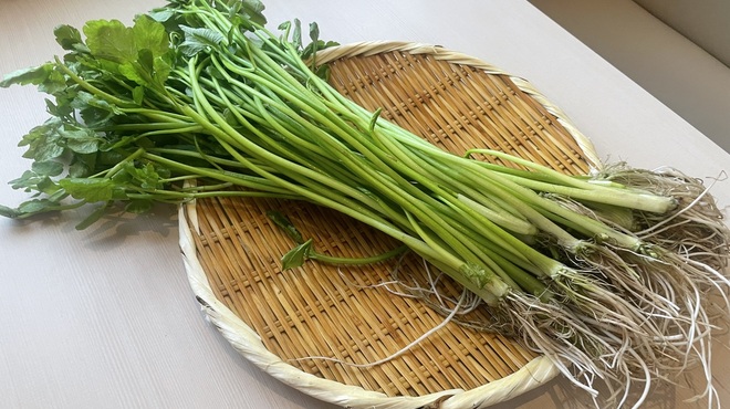 だし屋 おわん - 料理写真:芹（せり）冬季限定
