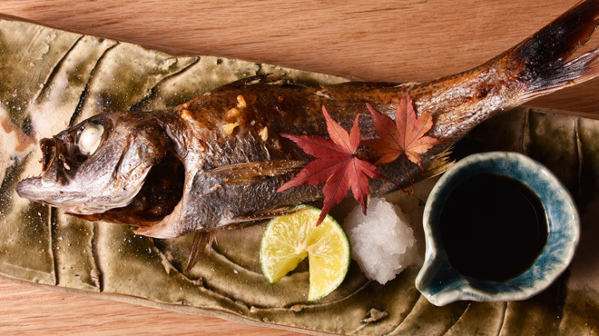 魚ト日本酒あたらよ - メイン写真: