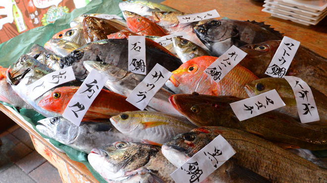 鰓呼吸 - メイン写真: