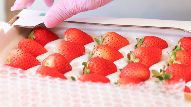 築地そらつき - メイン写真: