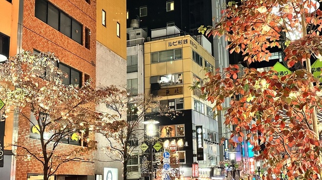 銀座羊屋 - メイン写真:
