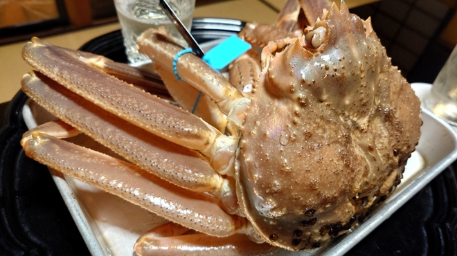 鈴おき - 料理写真:橋立港　ズワイガニ