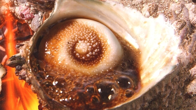 豊丸水産 - 料理写真:
