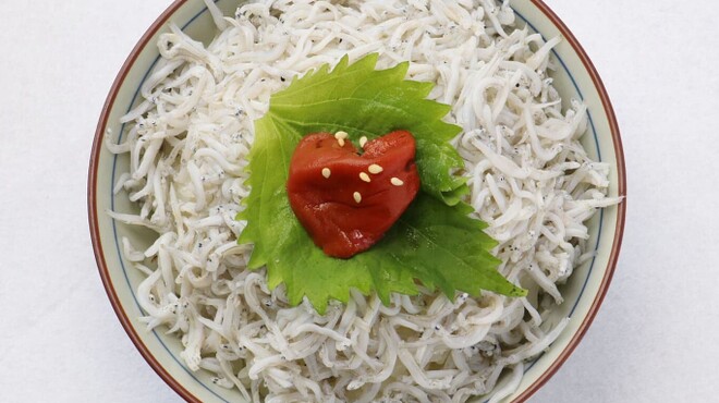 オサカナ喫茶イエローテイル - メイン写真: