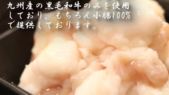 焼鳥もつ鍋だるま - メイン写真: