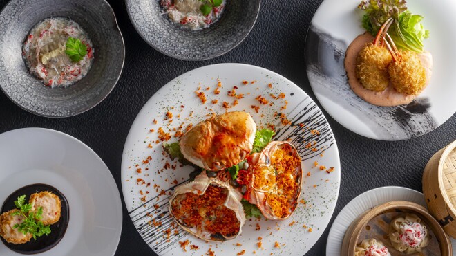 Modern Chinese Restaurant OPERA - メイン写真: