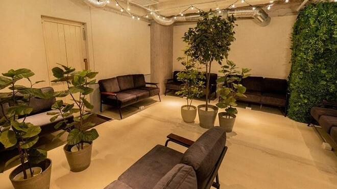 C.STAND - メイン写真: