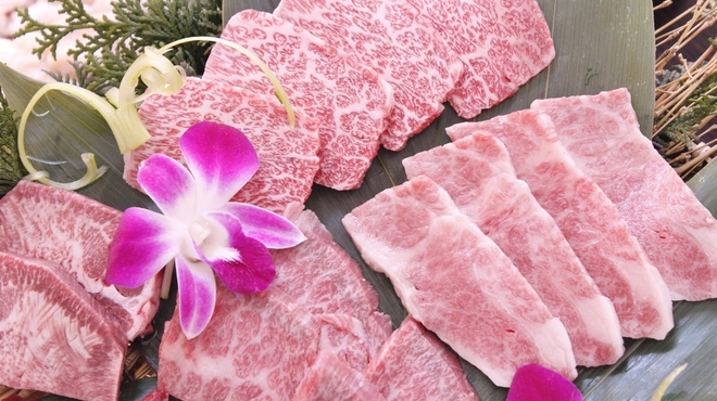 Urayoko Yakiniku Senta- - メイン写真: