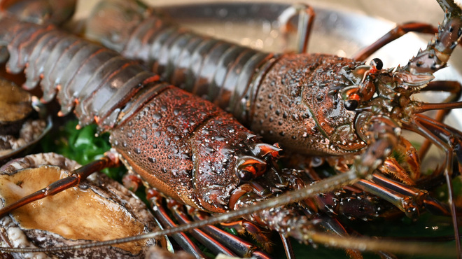 和風牛肉料理 まつもと - メイン写真: