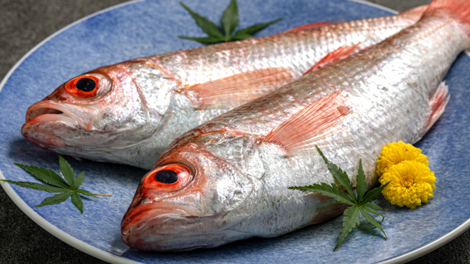 和咲美 - メイン写真: