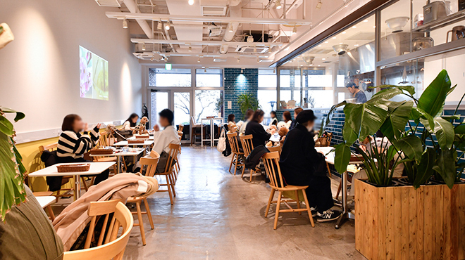 Salon de biogance cafe - メイン写真:テーブル席