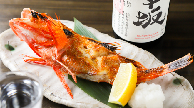 ガシラ - メイン写真:キンキ