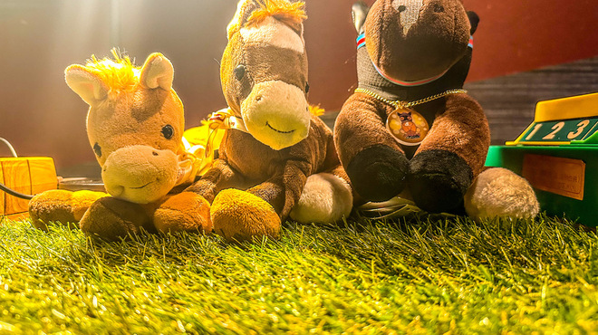 放牧Bar UMACHAN - メイン写真: