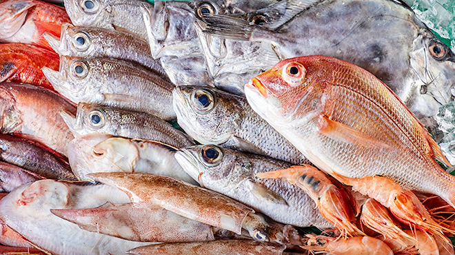 六角堂 - メイン写真:魚介素材