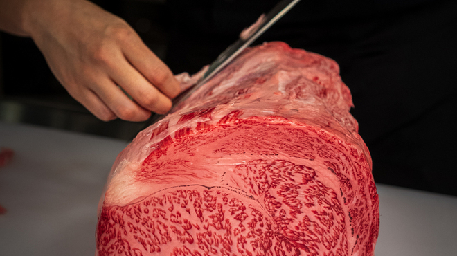 Nose to Tail - メイン写真: