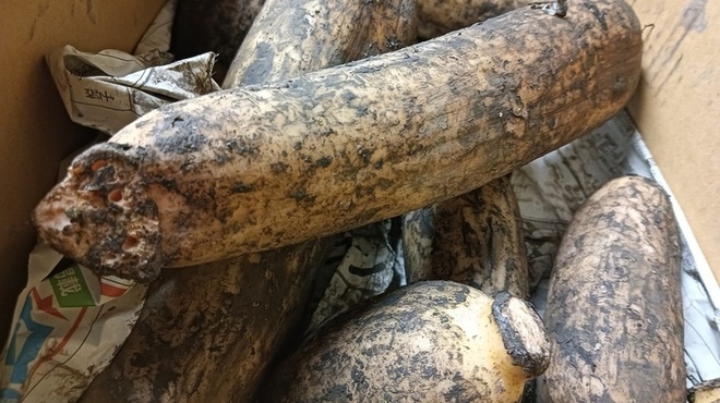 醸 はせべ - メイン写真: