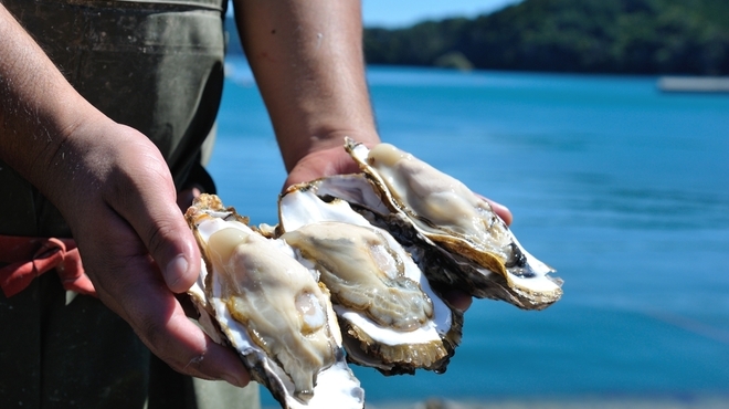 オストラ デ オーレ - メイン写真: