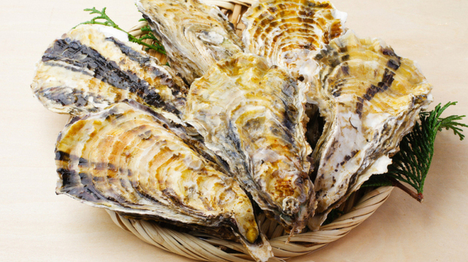 牡蛎処 桝政 - メイン写真: