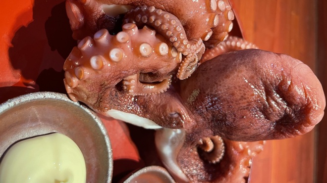 牡蛎処 桝政 - メイン写真: