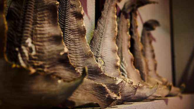 中国菜 Guu - メイン写真: